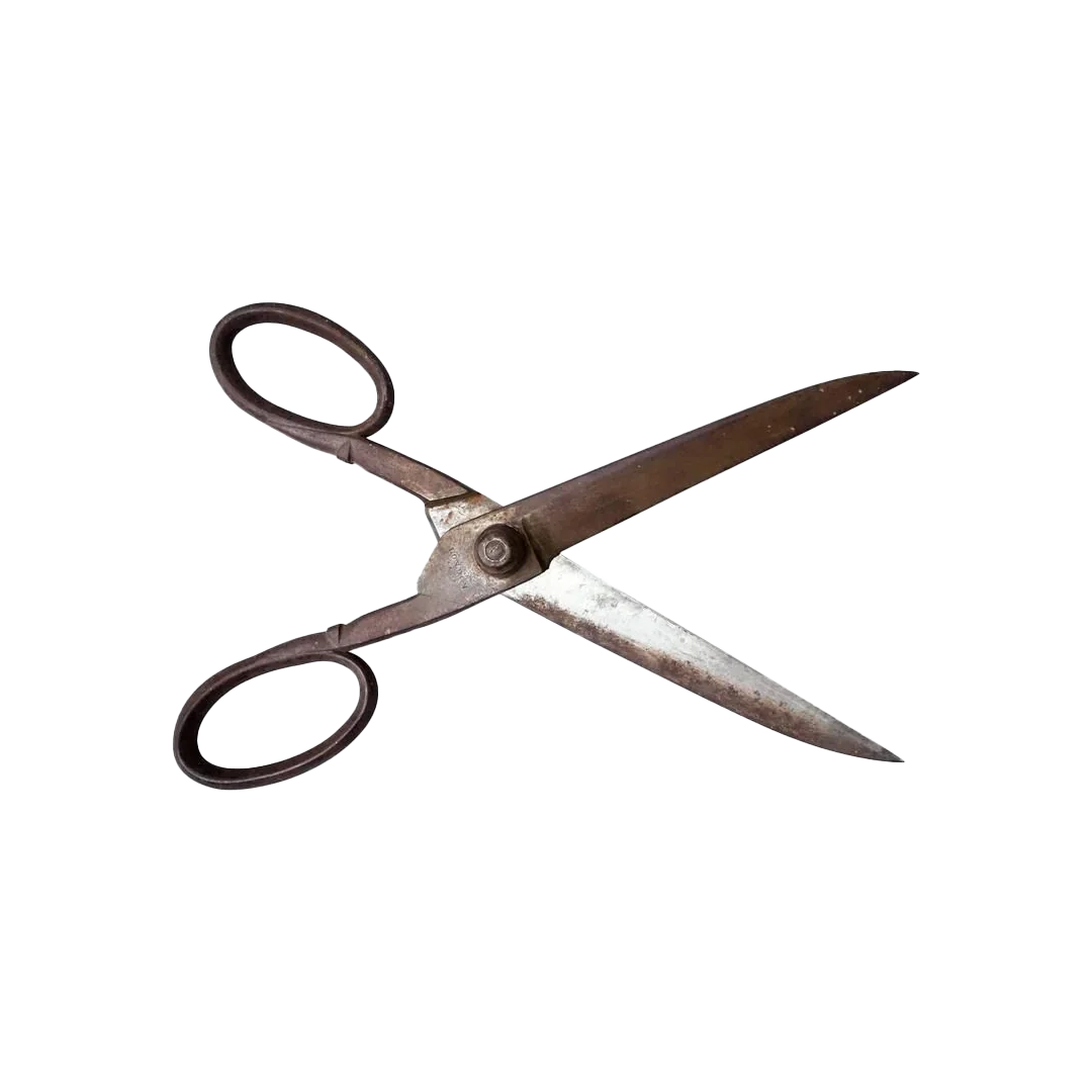 Vintage tailor scissors